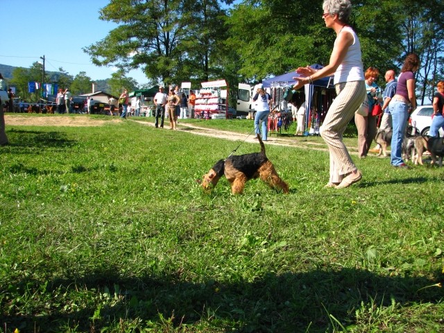 CAC Trbovlje, 26.8.2007 - foto povečava