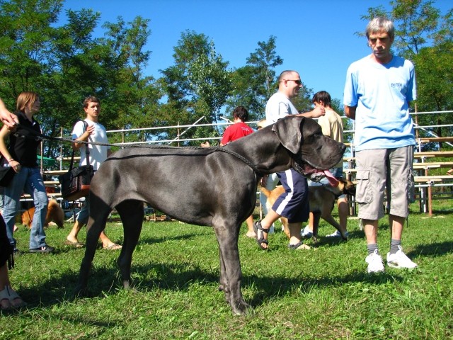 CAC Trbovlje, 26.8.2007 - foto povečava