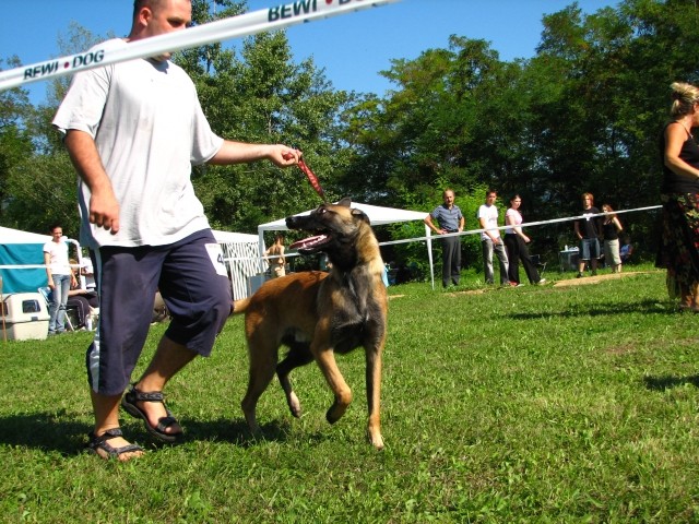 CAC Trbovlje, 26.8.2007 - foto povečava