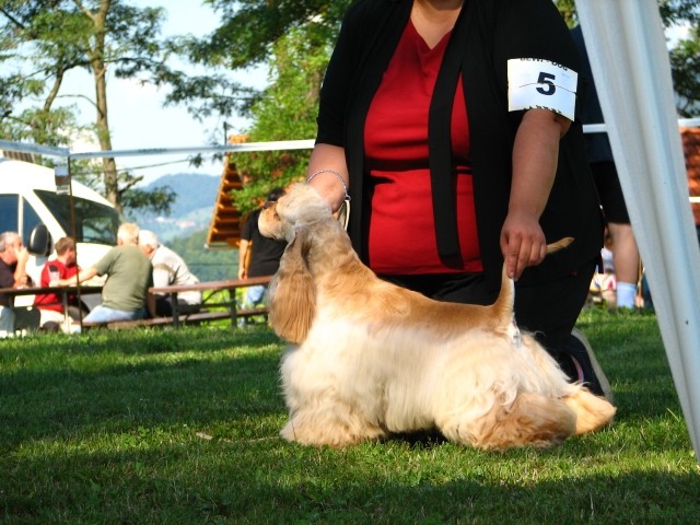 CAC Trbovlje, 26.8.2007 - foto povečava