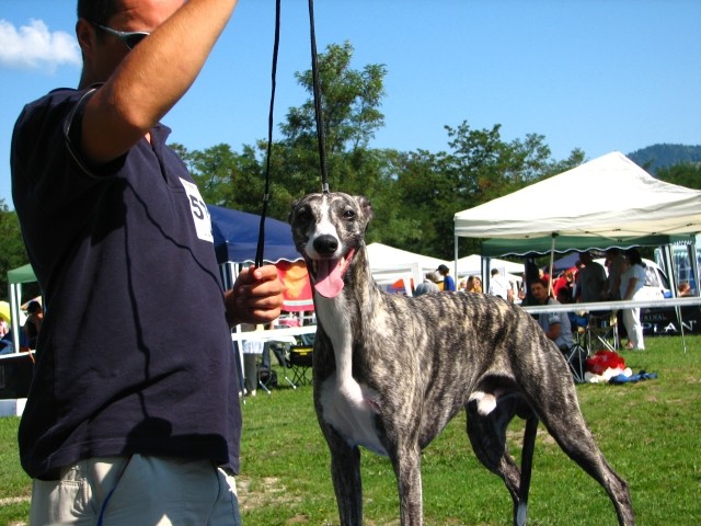 CAC Trbovlje, 26.8.2007 - foto povečava