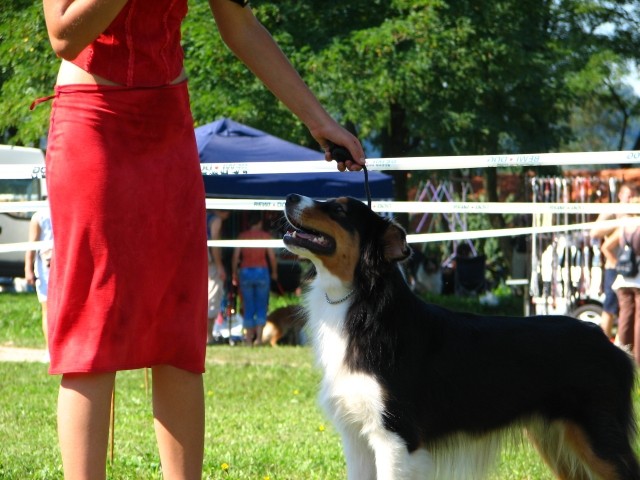 CAC Trbovlje, 26.8.2007 - foto povečava