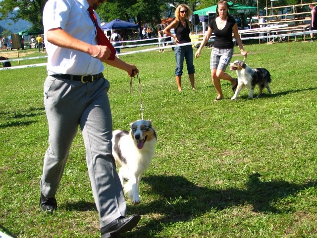 CAC Trbovlje, 26.8.2007 - foto povečava