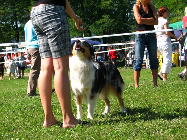 CAC Trbovlje, 26.8.2007 - foto povečava