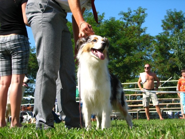 CAC Trbovlje, 26.8.2007 - foto povečava