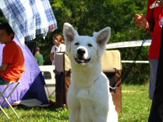 CAC Trbovlje, 26.8.2007 - foto povečava