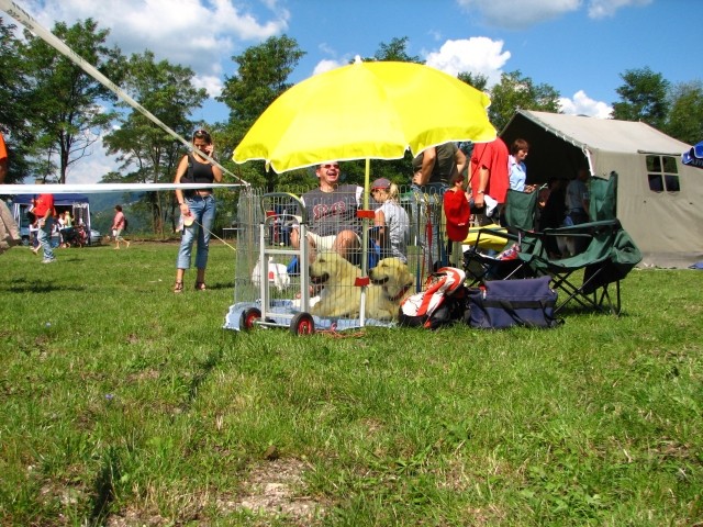 CAC Trbovlje, 26.8.2007 - foto povečava