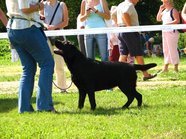 CAC Trbovlje, 26.8.2007 - foto povečava