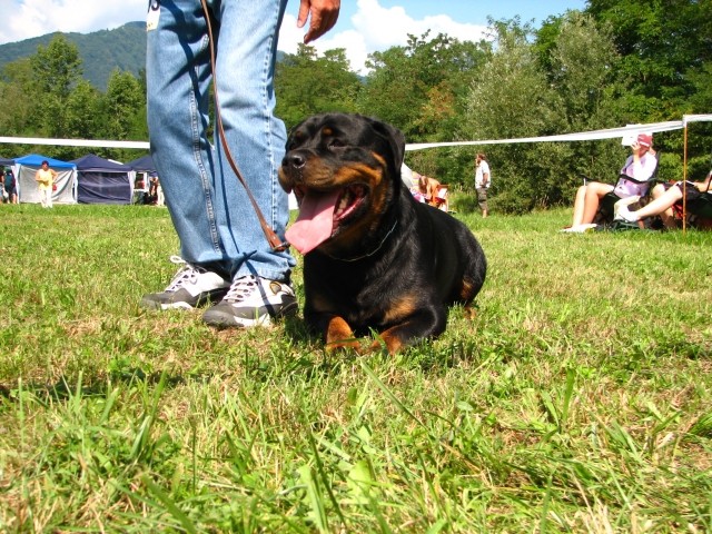 CAC Trbovlje, 26.8.2007 - foto povečava