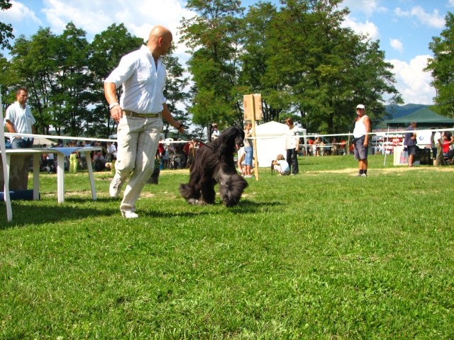 CAC Trbovlje, 26.8.2007 - foto povečava