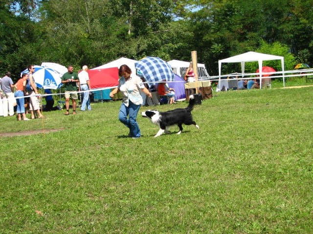 CAC Trbovlje, 26.8.2007 - foto povečava