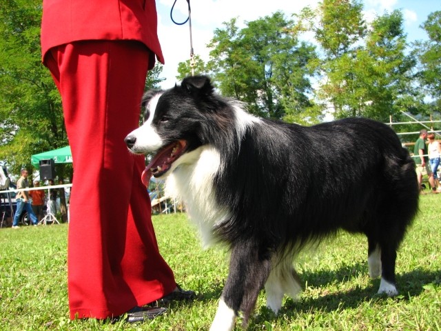 CAC Trbovlje, 26.8.2007 - foto povečava