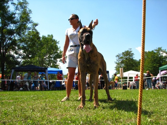 CAC Trbovlje, 26.8.2007 - foto povečava