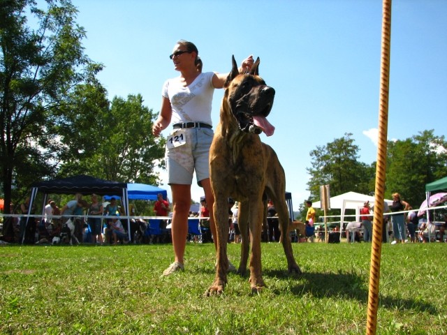 CAC Trbovlje, 26.8.2007 - foto povečava