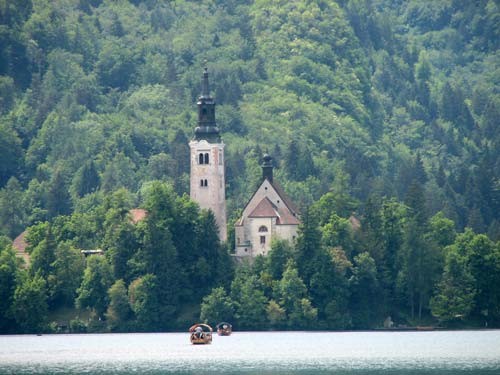 Narava - foto povečava