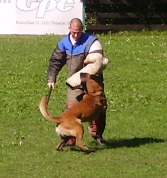 Regijska tekma Varpolje 2006 - foto povečava