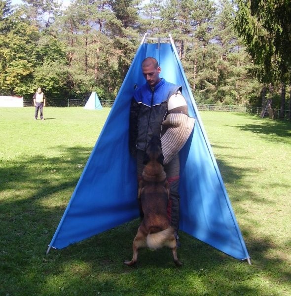 Regijska tekma Varpolje 2006 - foto povečava