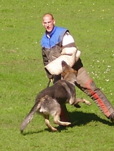 Regijska tekma Varpolje 2006 - foto povečava