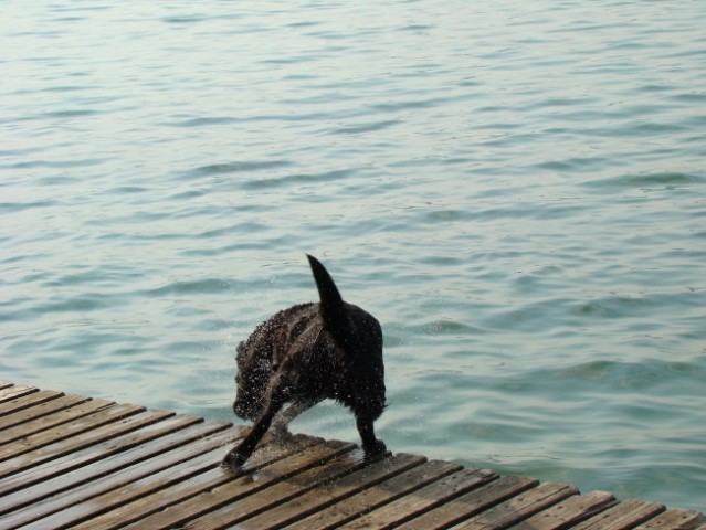 Jazzy na Velenjskem jezeru - foto