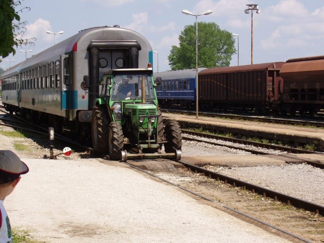 Naravoslovni dan - Ptujski grad - foto povečava