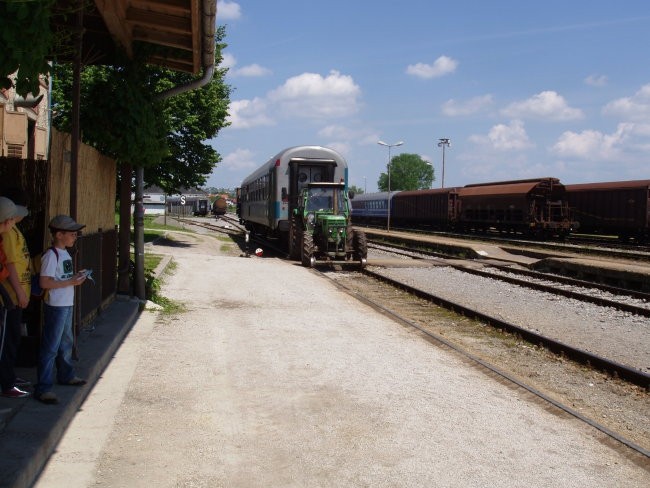 Naravoslovni dan - Ptujski grad - foto povečava