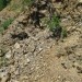 Lepoglava, Hrvaška - Gaveznica -osrednji del vulkanskega dimnika - nahajališče kalcedona, 
