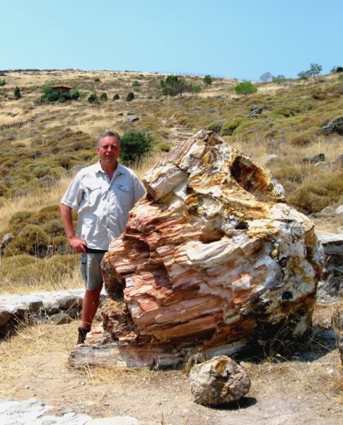 Lesbos 30.06. - 14.07.09 - Sigri okameneli gozd