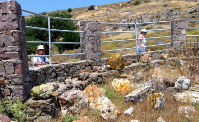 Lesbos 30.06. - 14.07.09 - Sigri okameneli gozd