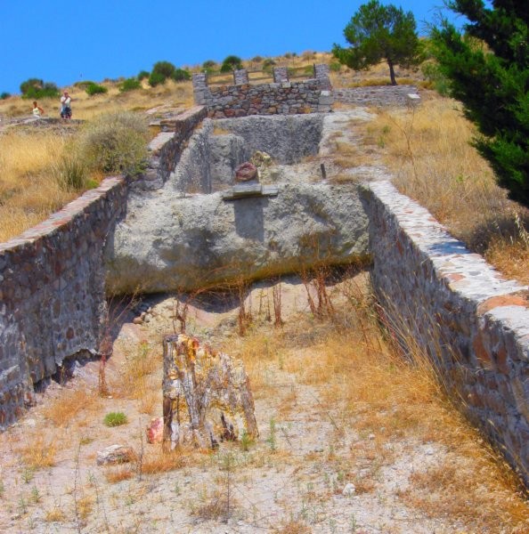 Lesbos 30.06. - 14.07.09 - Sigri okameneli gozd