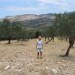 Lesbos 30.06. - 14.07.09 -  Kalloni okolica  - nahajališče kalcedona v nasadu oljk