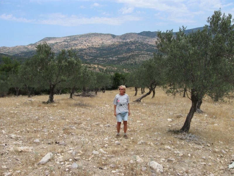 Lesbos 30.06. - 14.07.09 -  Kalloni okolica  - nahajališče kalcedona v nasadu oljk