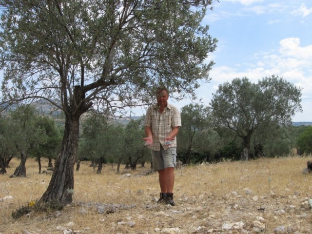 Lesbos 30.06. - 14.07.09 -  Kalloni okolica  - nahajališče kalcedona v nasadu oljk 