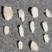 Lesbos 30.06. - 14.07.09 - Molivos okolica - skeletasti kristali kremena od 0,5 do 4 cm