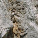 Kalcit - Kurja dolina, votline s kalcitom, kristali do 5 cm