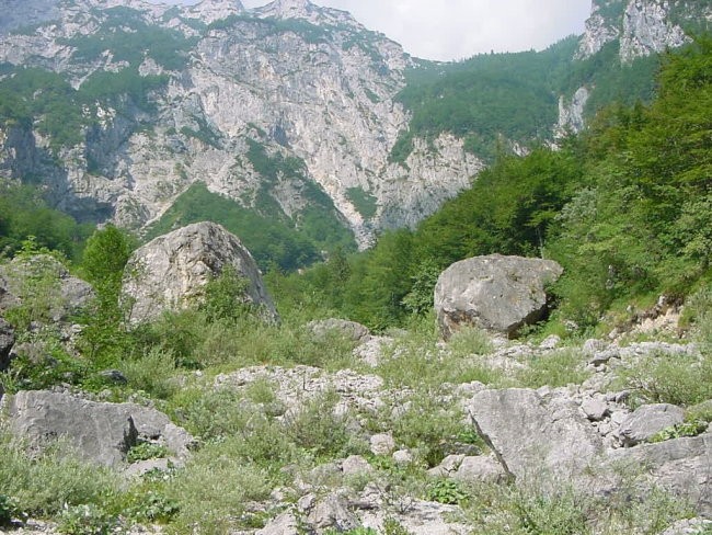 Kalcit - Kurja dolina, balvani