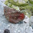Jaspis - zgornji tok Idrijce, gomolj jaspisa v kamnini (5 cm)