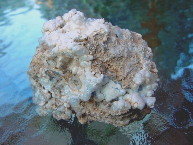 Lesvos - kalcedon, hialin (8 x 6 cm) - Kalloni okolica