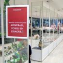 Razstava Slovenika - 7 vitrin z minerali in fosili