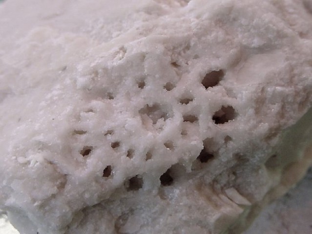 Loška Koritnica  z okolico - presek prekristaliziranega fosilnega polža - detail 2 x 2 cm 