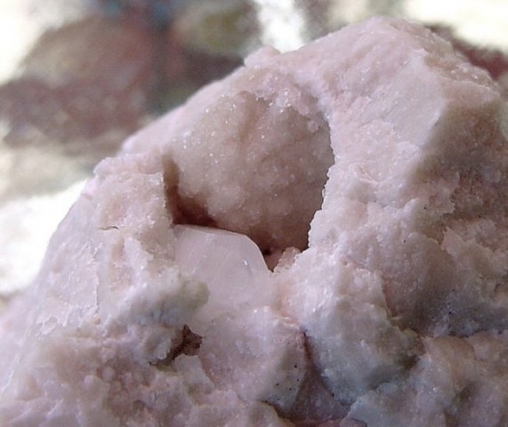 Loška Koritnica  z okolico - kristal kalcita s prekristaliziranim fosilom - 2 x 3 cm - 16.