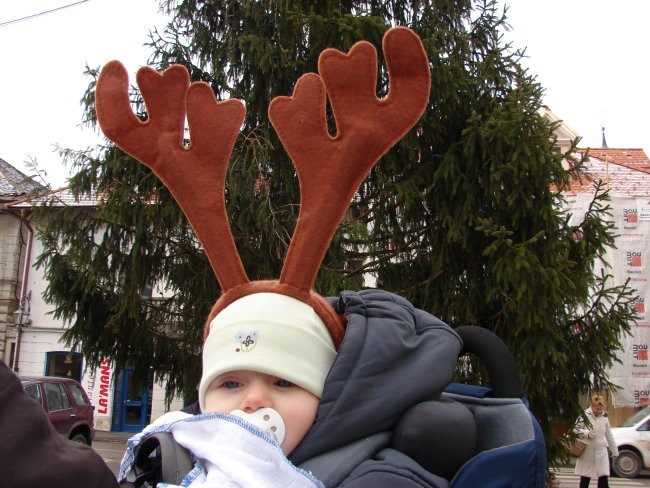 mladi jelenček na sprehodu po Kamniku!