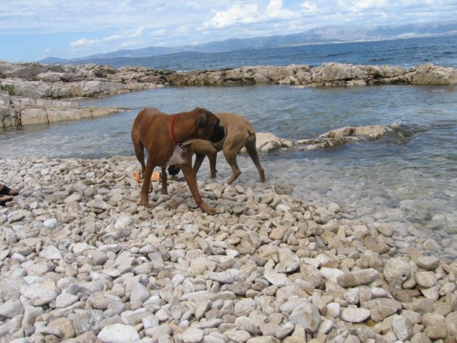 Morje - foto povečava