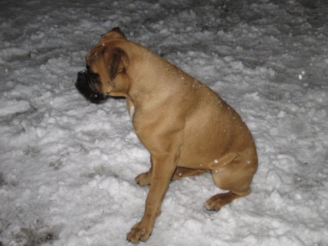 Zima2006 - foto