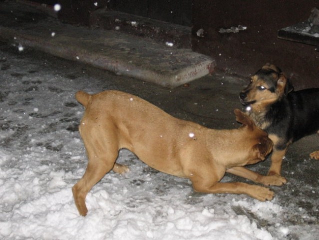 Zima2006 - foto