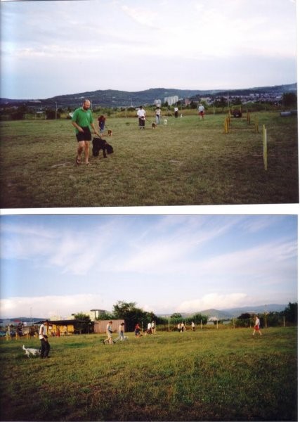 Poletna mala šola 2004 - foto