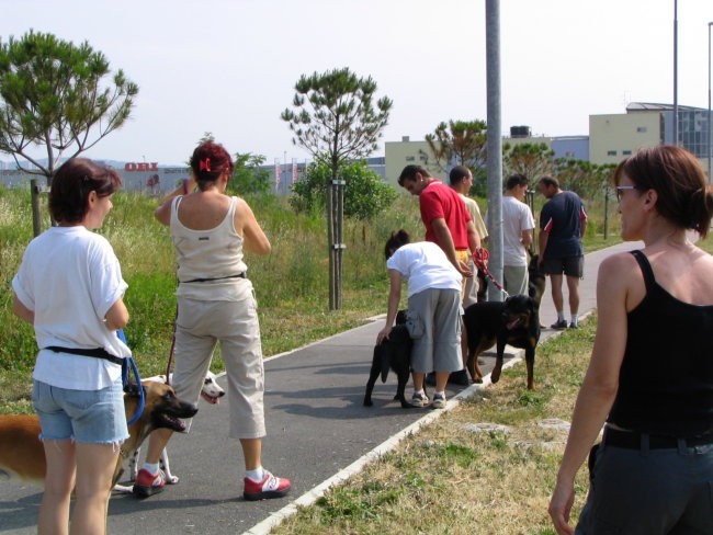 Izpiti A   ,B-BH  poligon Koper 26.06.2005 - foto povečava