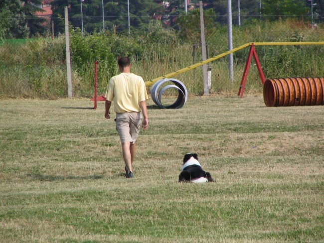 Izpiti A   ,B-BH  poligon Koper 26.06.2005 - foto povečava