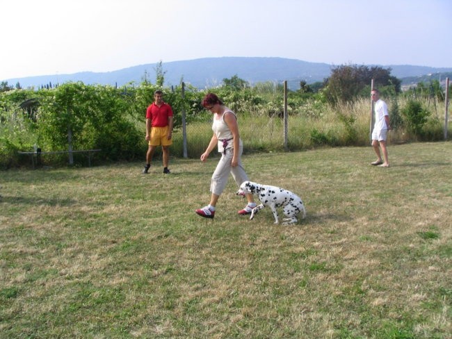 Izpiti A   ,B-BH  poligon Koper 26.06.2005 - foto povečava
