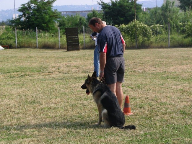 Izpiti A   ,B-BH  poligon Koper 26.06.2005 - foto povečava