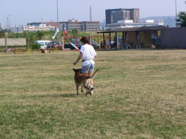 Izpiti A   ,B-BH  poligon Koper 26.06.2005 - foto povečava